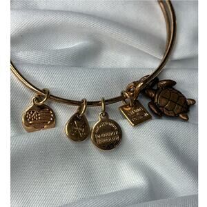 Alex and Ani Sea Turtle Bangle Bracelet Rafaelian Gold Tone Charity By Design